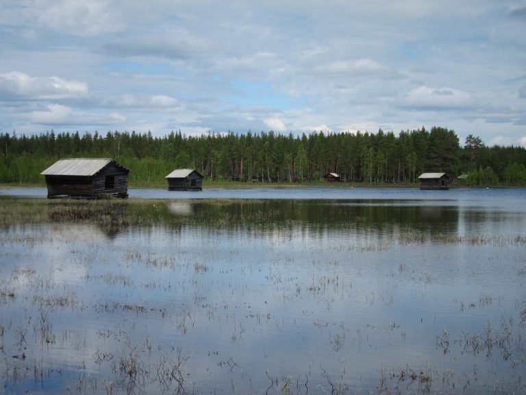 Svansele Dammängar