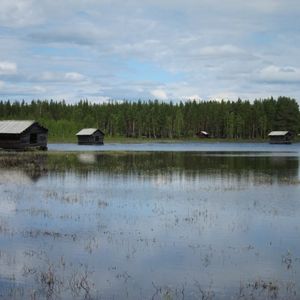 Svansele Dammängar