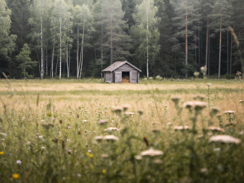 Höberget