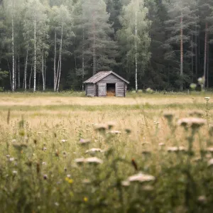Höberget