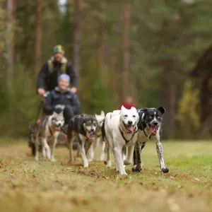 Dragnäs