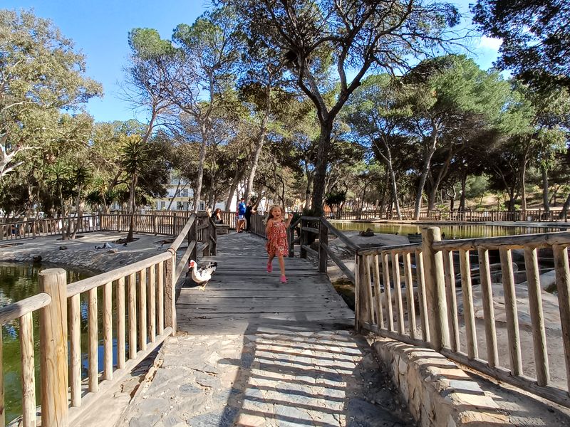Reina Sofía Park 3