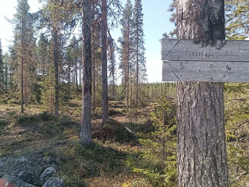 Kuorbevarekullen 2