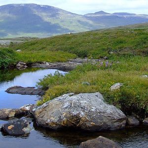 Padjelanta nationalpark