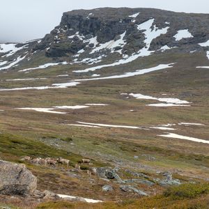 Padjelanta nationalpark