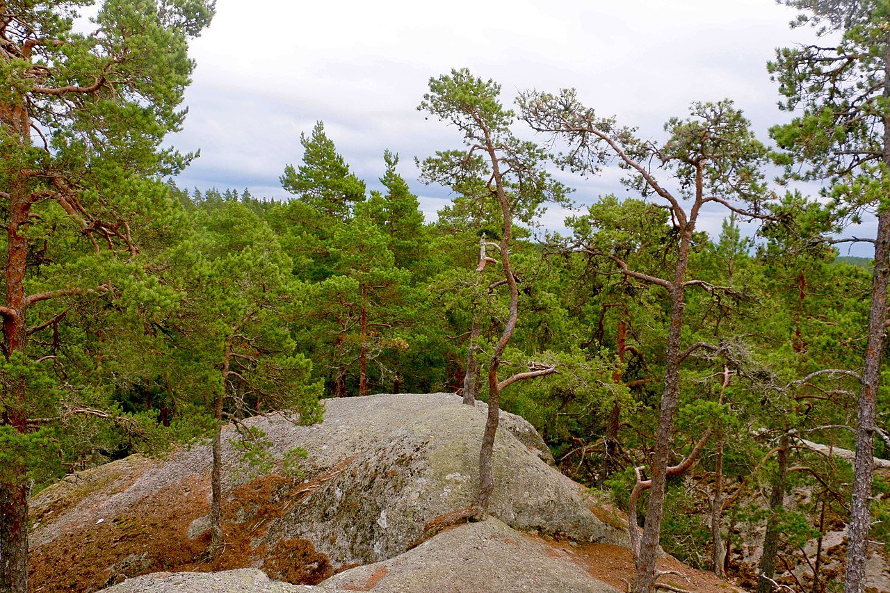 Tivedens nationalpark