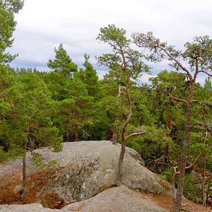 Tivedens nationalpark
