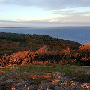 Stenshuvud nationalpark