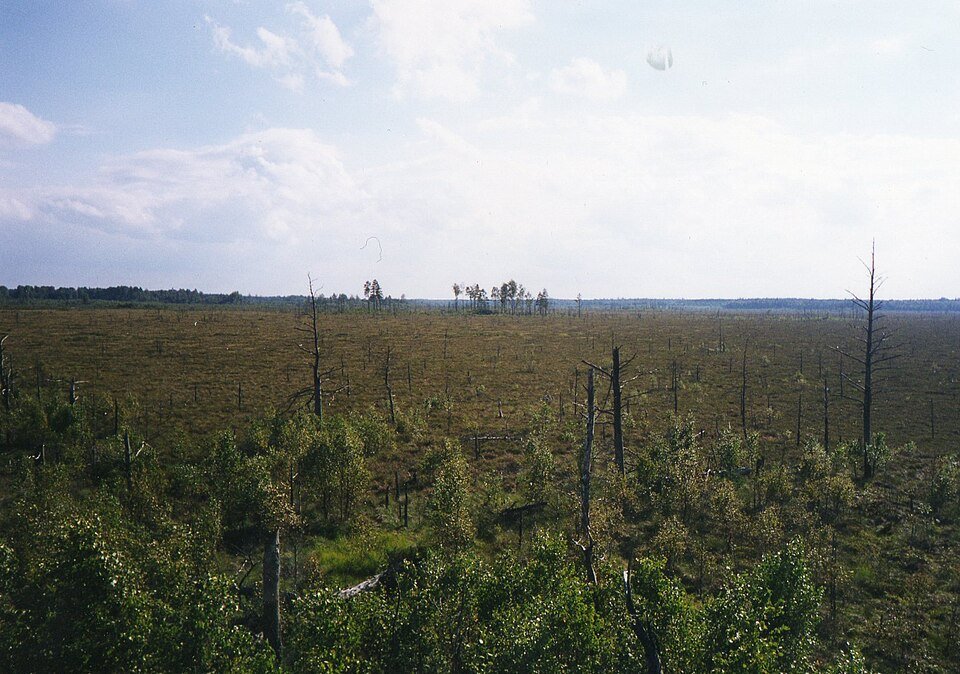 Store Mosse nationalpark