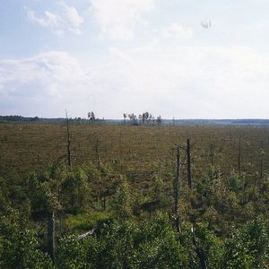 Store Mosse nationalpark