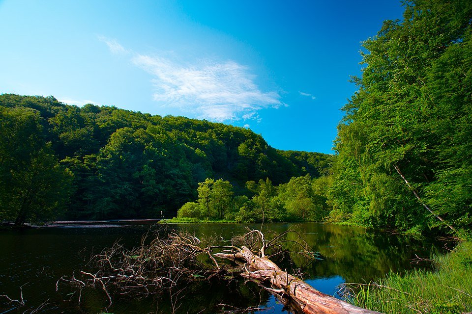 Söderåsen nationalpark