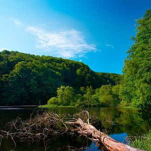 Söderåsen nationalpark