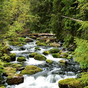 Fulufjällets nationalpark