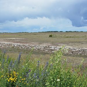 Stora Alvaret (Öland)